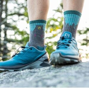 Darn Tough Bear Town Micro Crew Socks